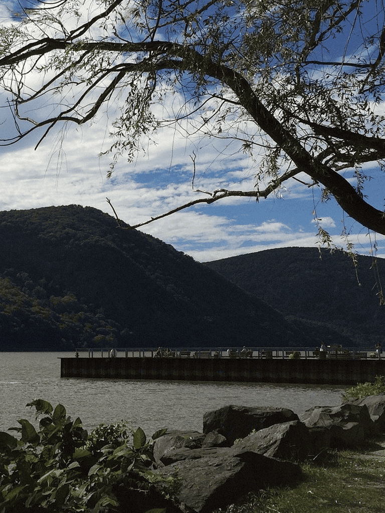 Tranquil lake with mountains in background and tree branches overhead.