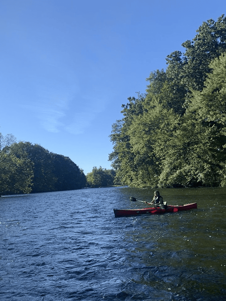 Paddleboarding on a peaceful river surrounded by lush green trees under a clear blue sky.