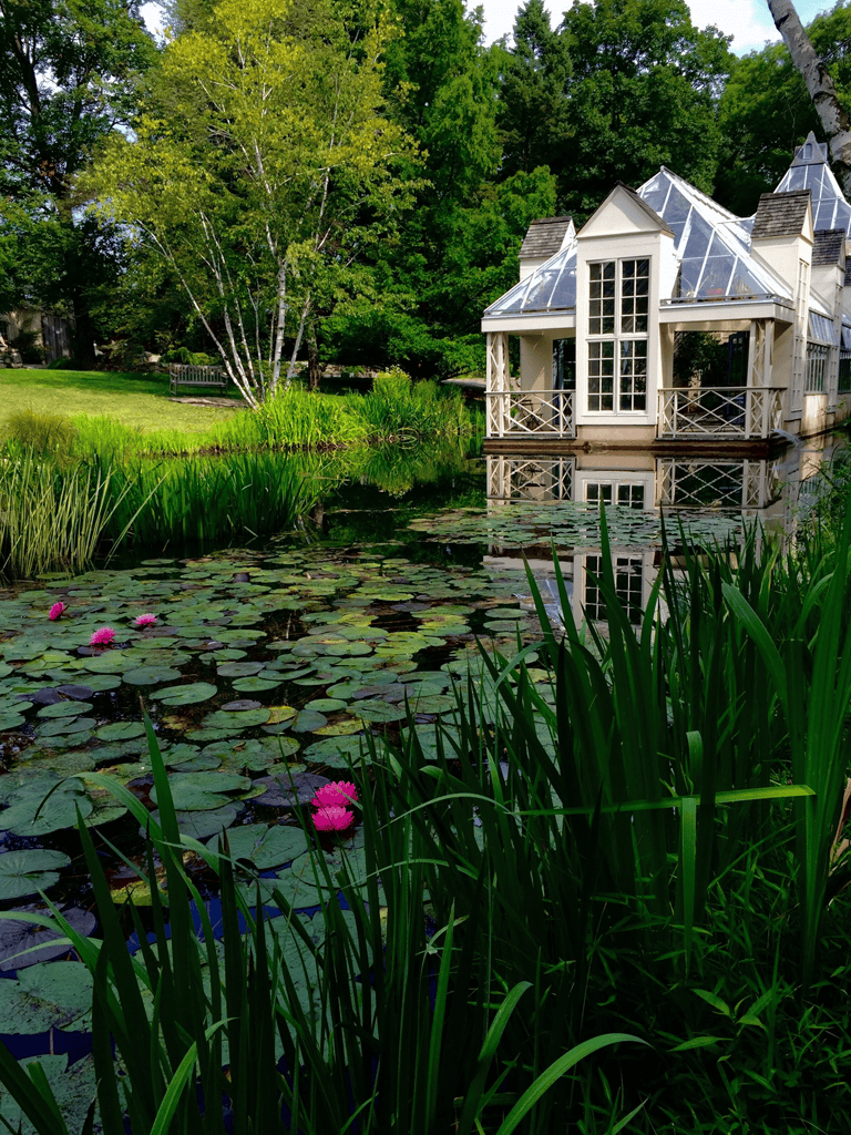 Serene pond with water lilies and a glass house in lush green garden setting.