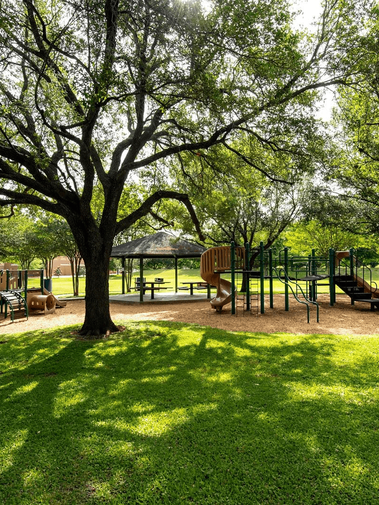 Colorful playground equipment at park under large shade tree, outdoor fun for kids.