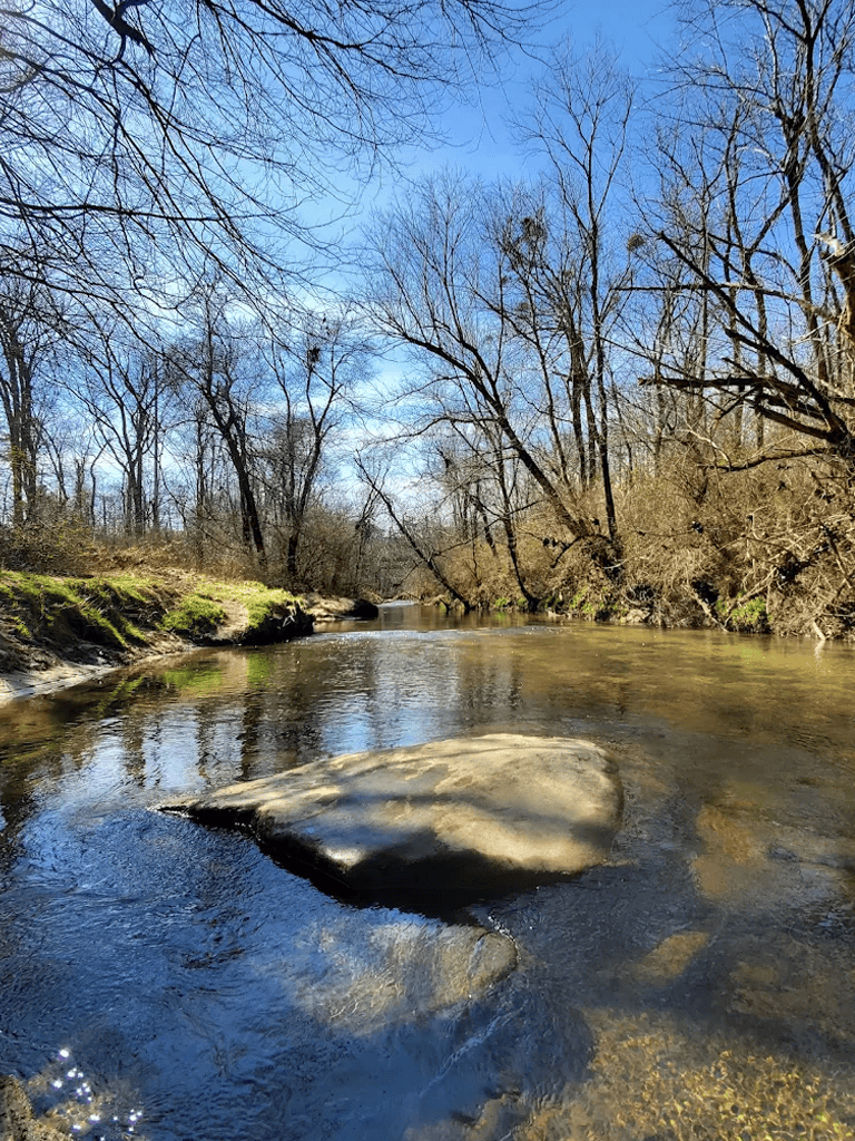 Tranquil river scene with leafless trees and clear water, perfect for nature exploration and outdoor activities.