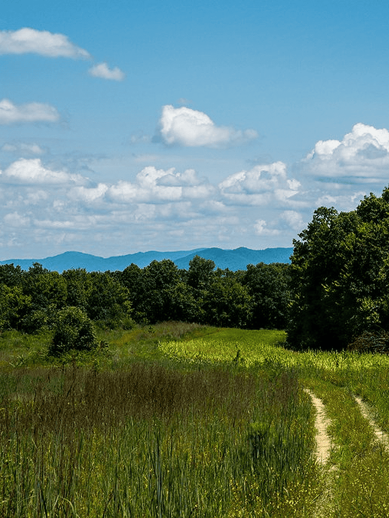 Scenic rural landscape with dirt trail, green fields, trees, and mountains under a blue sky with clouds.
