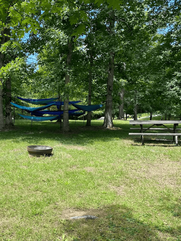 Colorful camping hammocks hanging among green trees in an outdoor park.