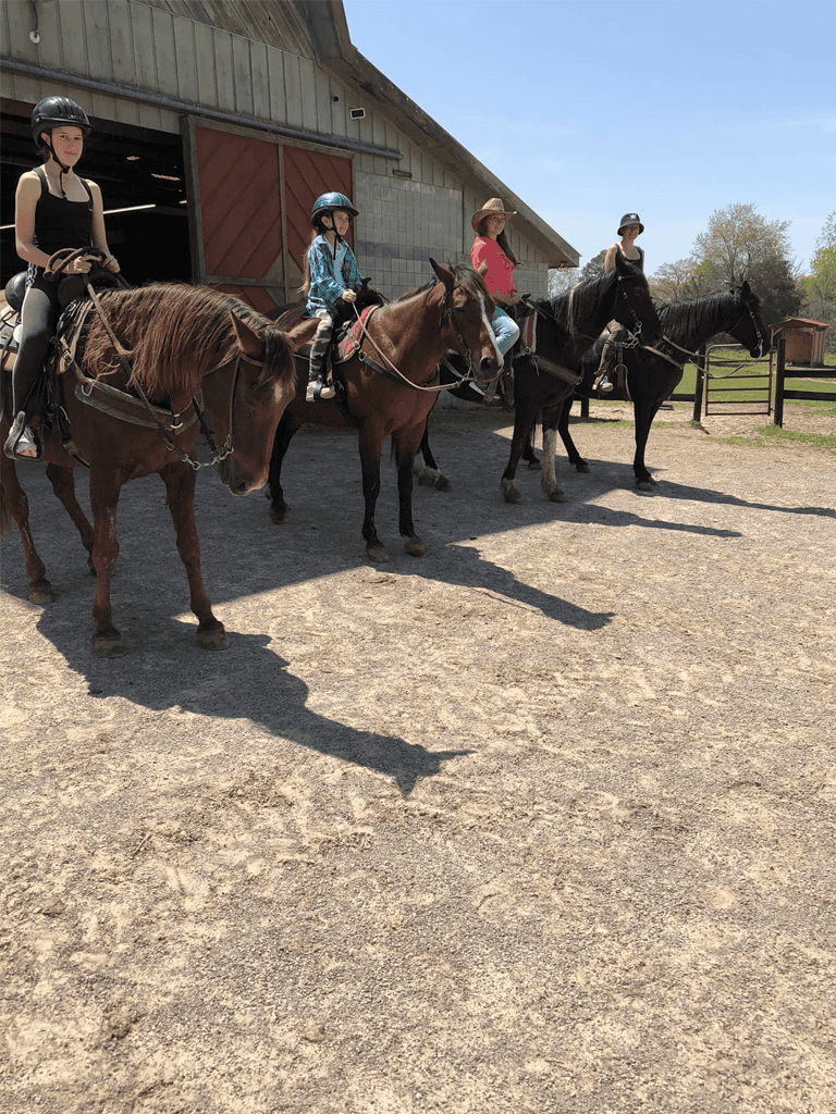 Horses and riders at a rustic farm stable with barn in background, outdoor horseback riding activity, family-friendly equine adventure.