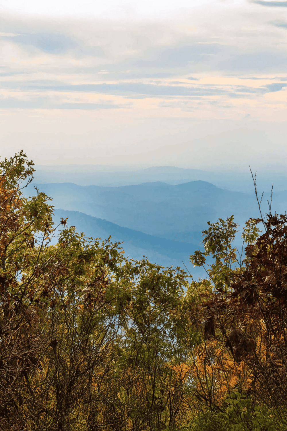 Vast mountain range with layered blue hues under a cloudy sky, surrounded by autumn foliage.
