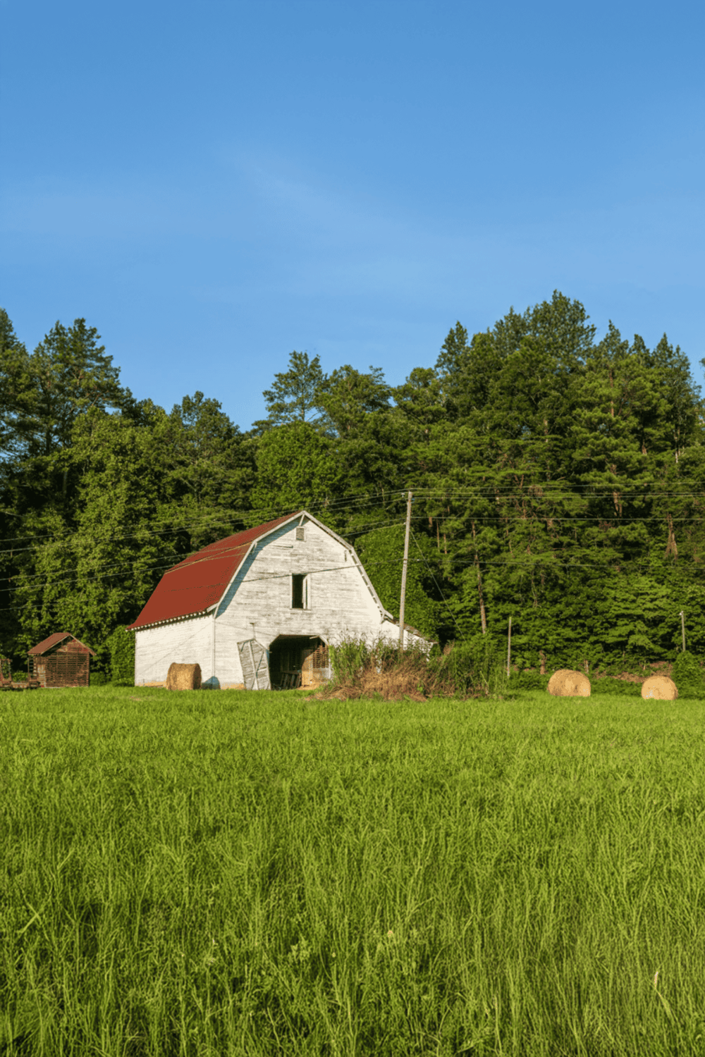 Abandoned barn in lush green pasture with hay bales and wooded background under blue sky.