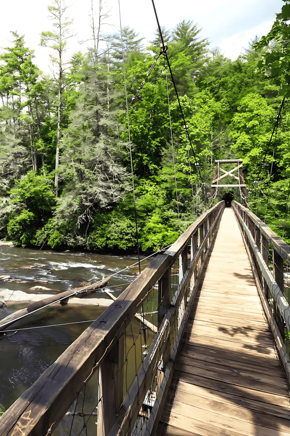Suspension bridge over river surrounded by lush green trees, outdoor adventure, scenic nature hike, forest trail, outdoor activities.