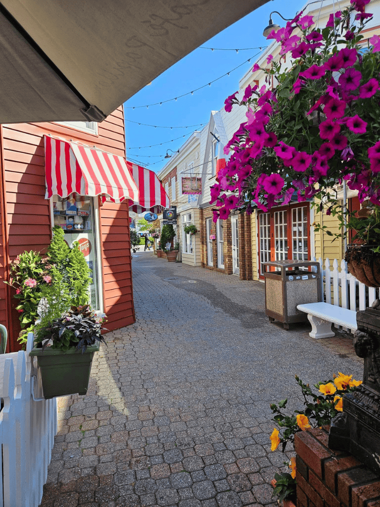 Colorful quaint street with storefronts, vibrant flowers, and charming outdoor decor.