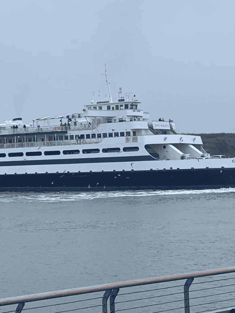 Luxury ferry cruise boat at sea for travel and transportation services.