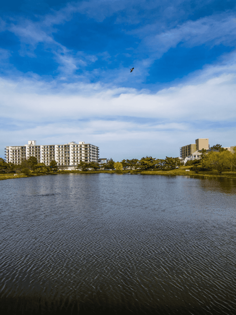Serene lake with modern buildings and blue sky, perfect for urban relaxation and sightseeing in QuestForDirections area.