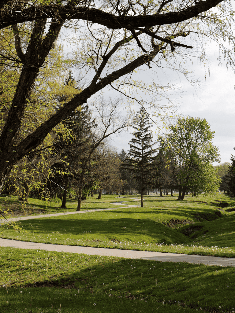 Lush green park with winding pathways and tall trees during daytime.