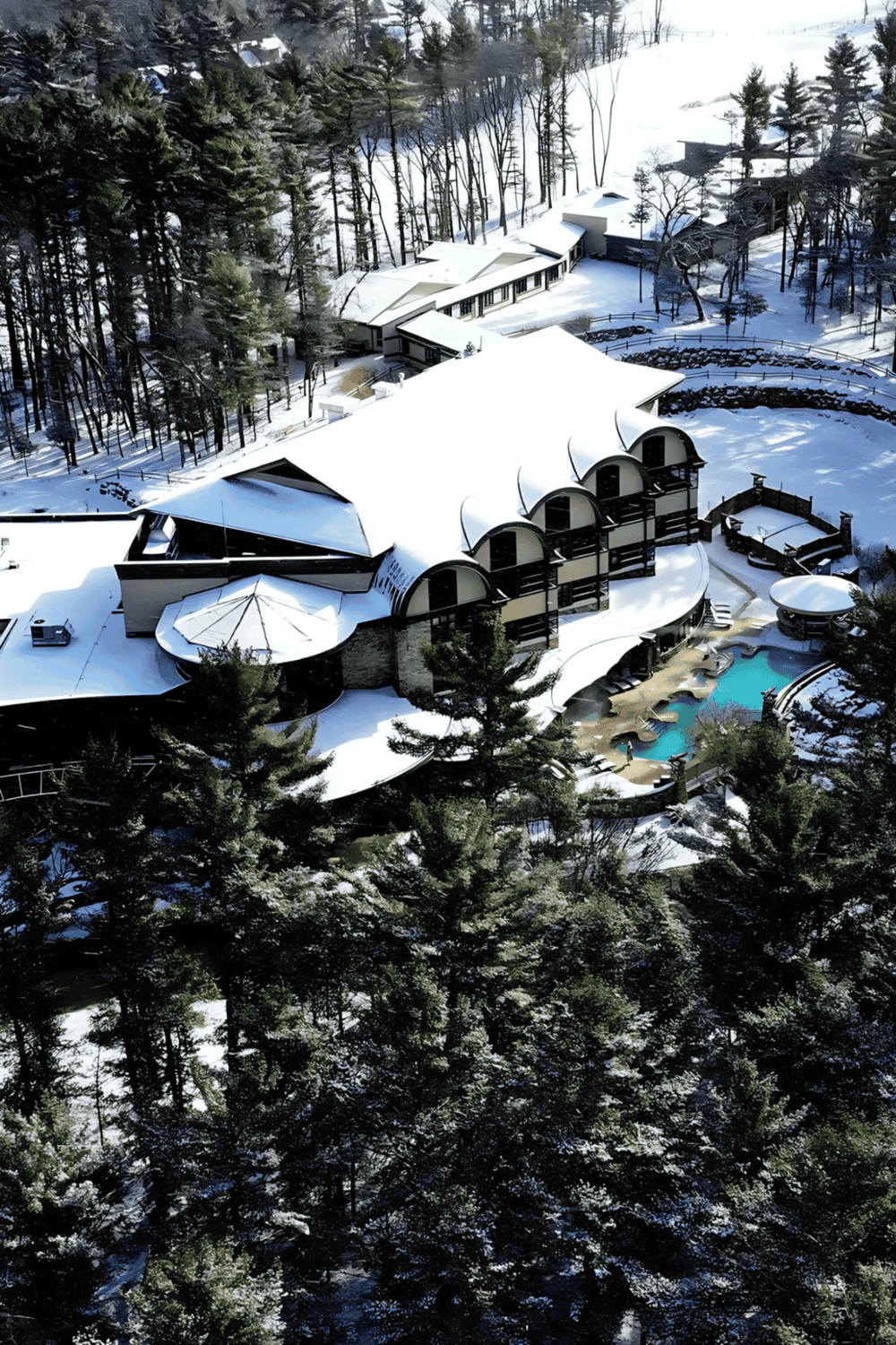 Spectacular snowy mountain resort with modern architecture, outdoor pool, and lush forest setting.