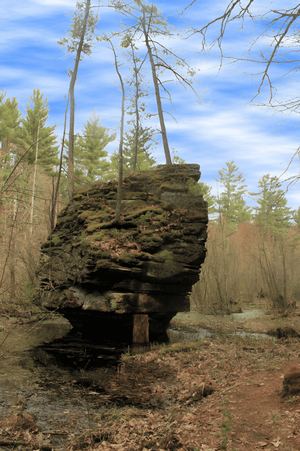 Dramatic rock formation in the forest with trees and a cloudy blue sky.