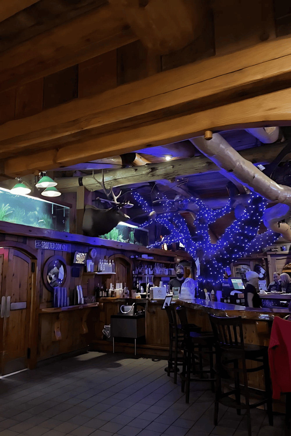 Cozy rustic bar interior with wood accents, blue LED-lit tree, and mounted animal decor, perfect for a warm gathering.
