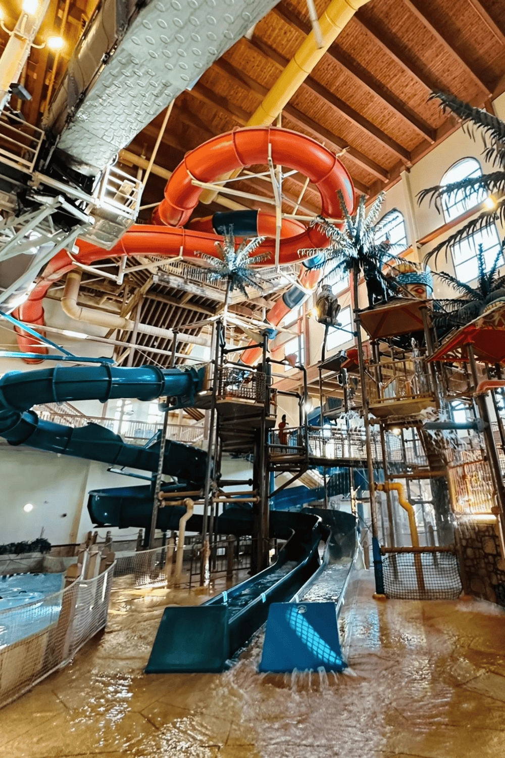 Slides, water park, indoor water slides, family-friendly water attraction, QuestForDirections Waterpark indoor slides, tropical decor.