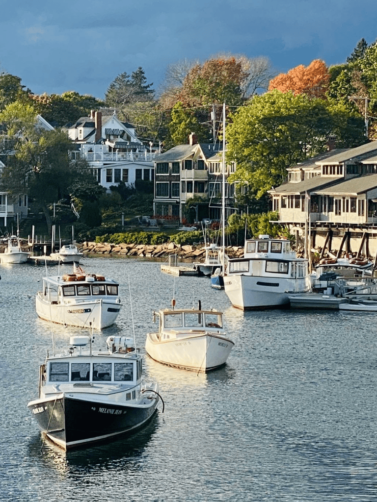 Boats docked along waterfront with scenic houses and colorful trees in the background.