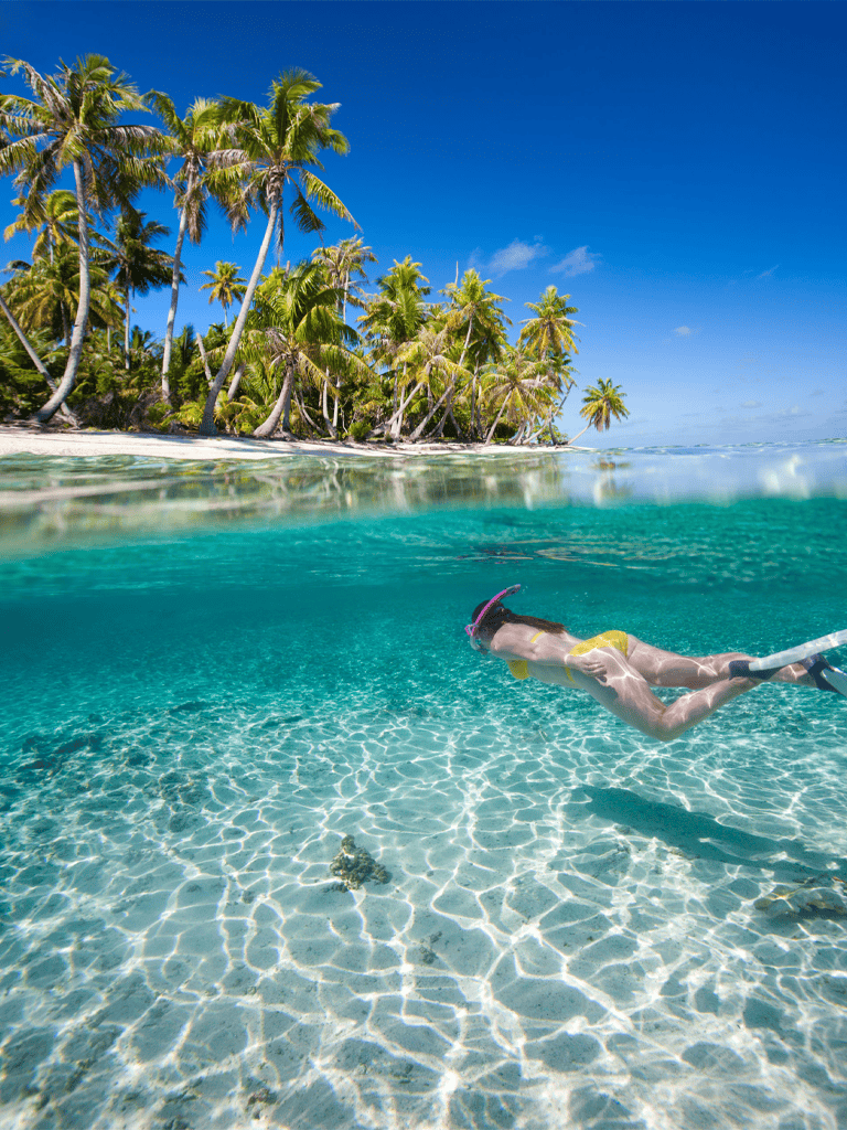 Bright tropical beach with palm trees and clear turquoise water, ideal for snorkeling and relaxing.