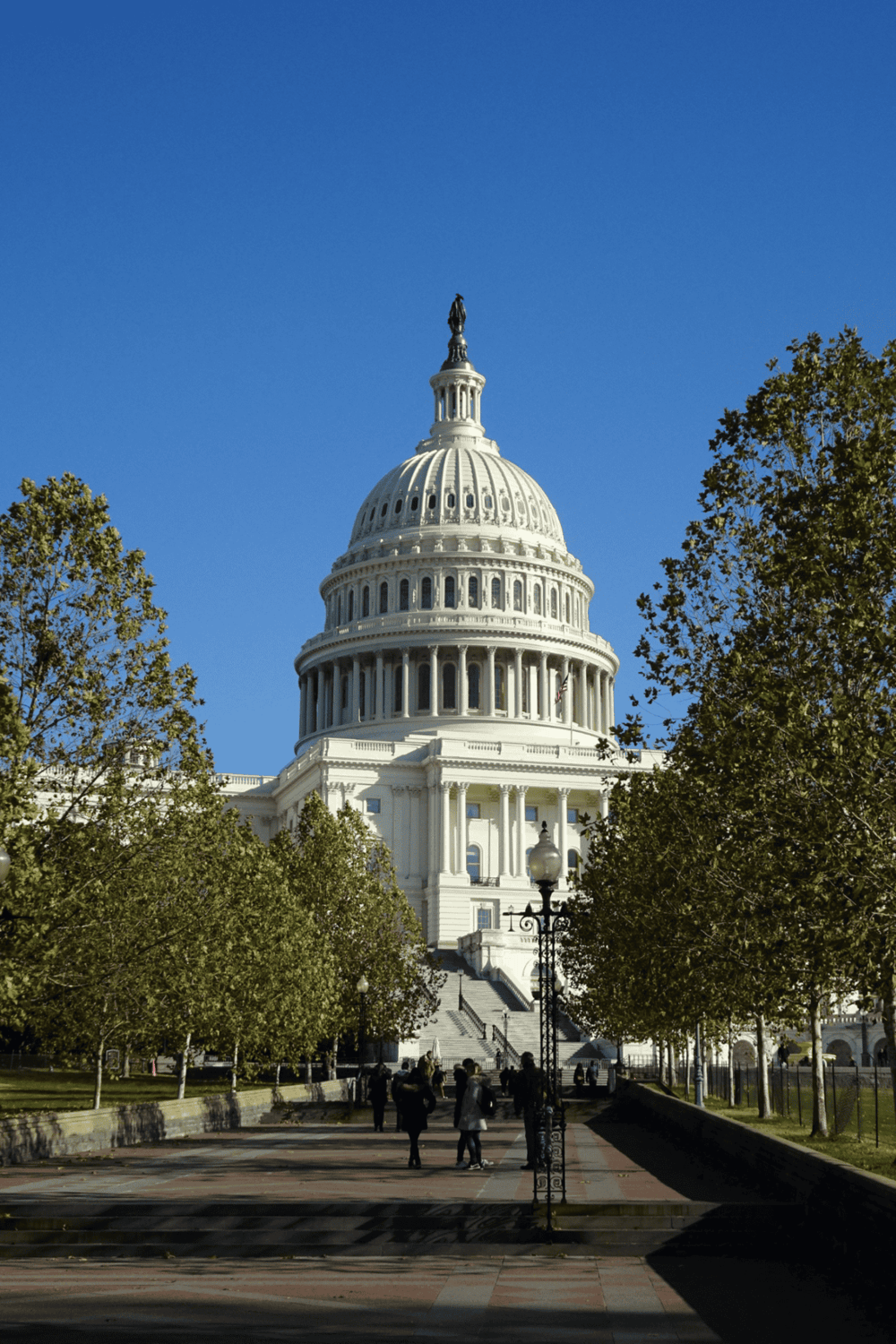 Capitol Building in Washington, D.C., showcasing iconic architecture and political history.