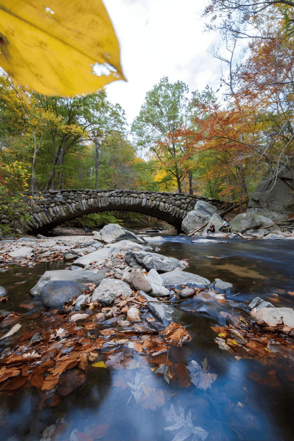 Colorful autumn leaves and a stone bridge over a peaceful creek in a scenic outdoor setting.