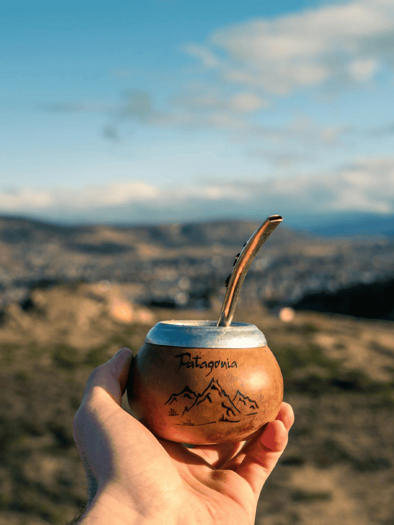Patagonia-inspired mate cup with a metal straw against mountain landscape background.