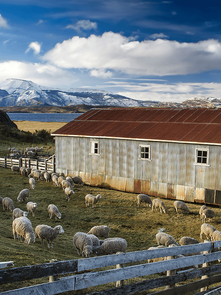 Rustic barn with sheep grazing, scenic mountain landscape, and lake in the background, perfect for rural travel destinations.