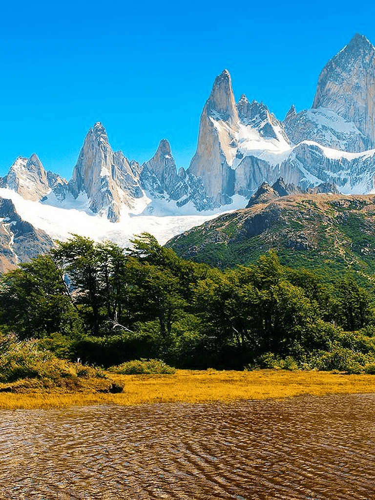 Snow-capped mountain range with lush forest and river in foreground, scenic landscape, Torres del Paine National Park.