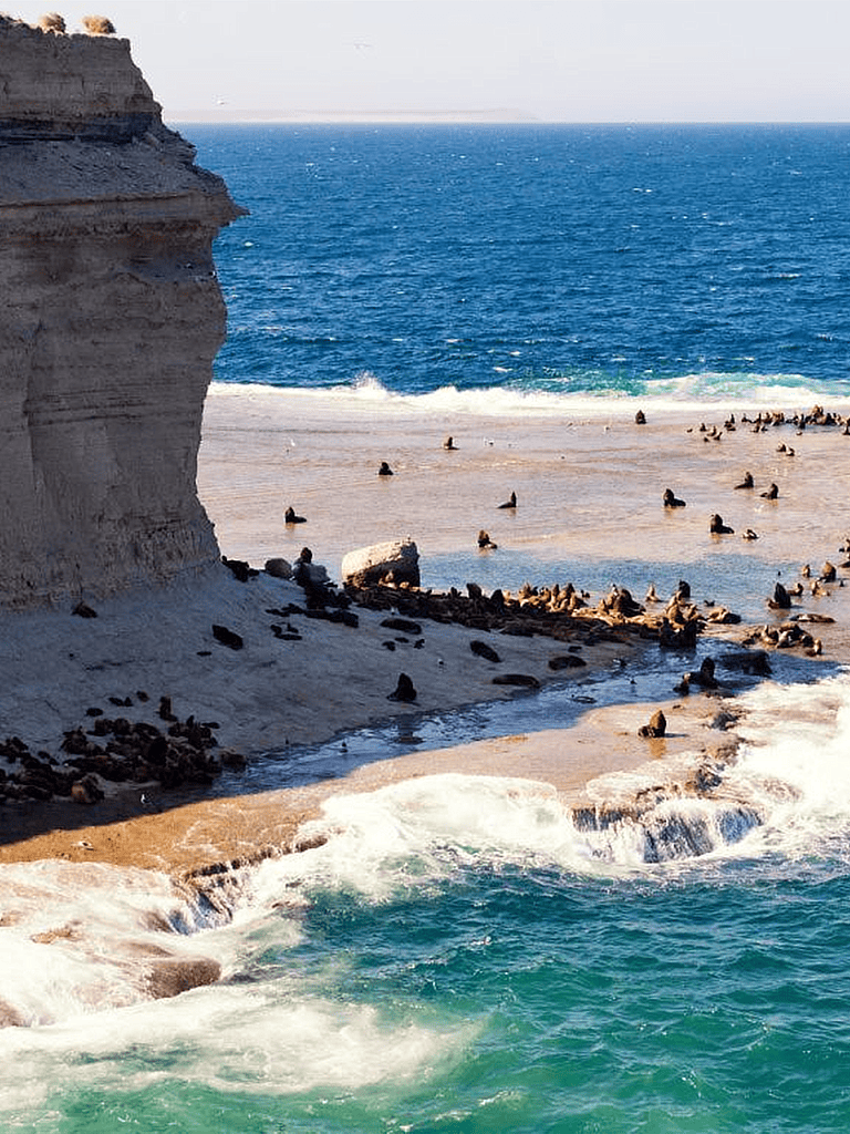 Seagulls resting on rocky cliffs by the ocean at QuestForDirections beach.