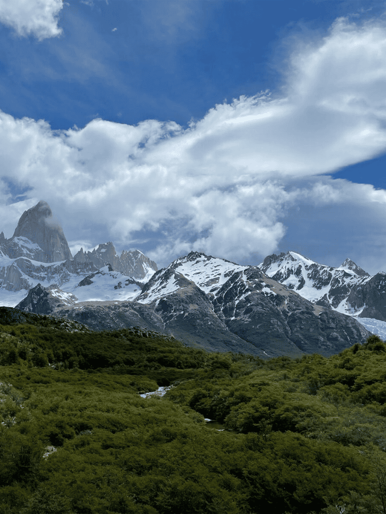 Snow-capped mountains with lush green forests and a blue sky in the background.
