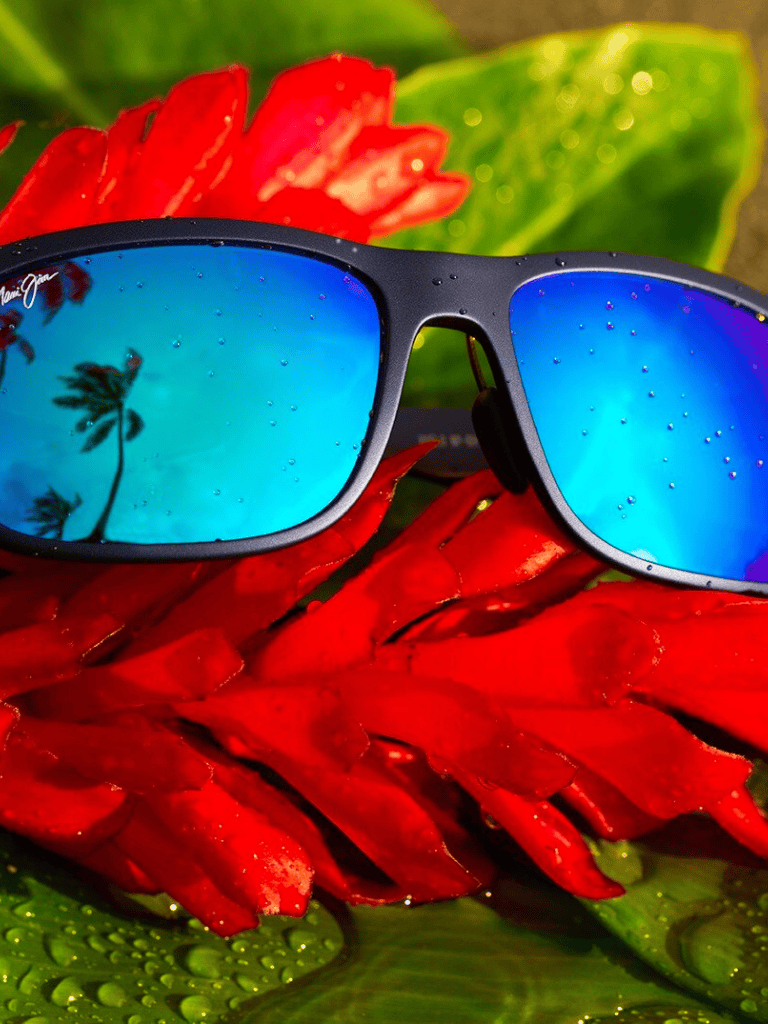Stylish sunglasses reflecting palm tree on vibrant tropical flower background.