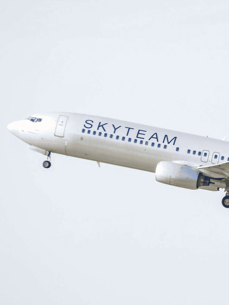 Full scale SkyTeam airplane in flight, airplane transportation, commercial airline, aircraft travel, aviation industry, air travel.
