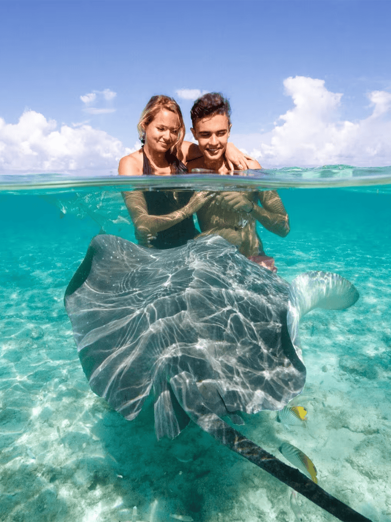 A girl and boy swimming with stingray in clear turquoise ocean under blue sky.