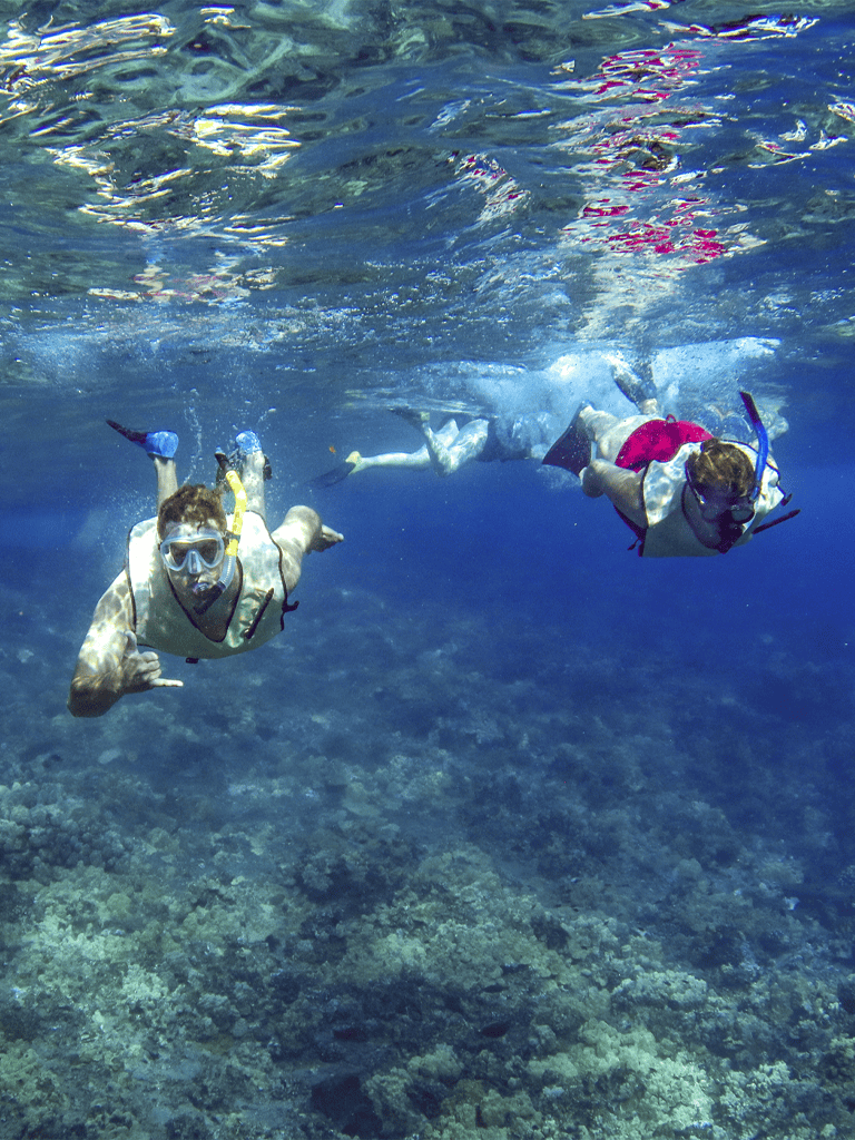 Colorful scuba divers exploring coral reef underwater.