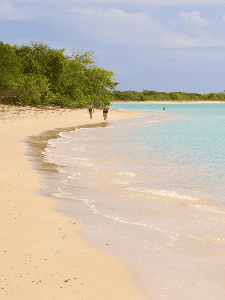 Peaceful beach with turquoise water, lush greenery, and two people walking along sandy shoreline.