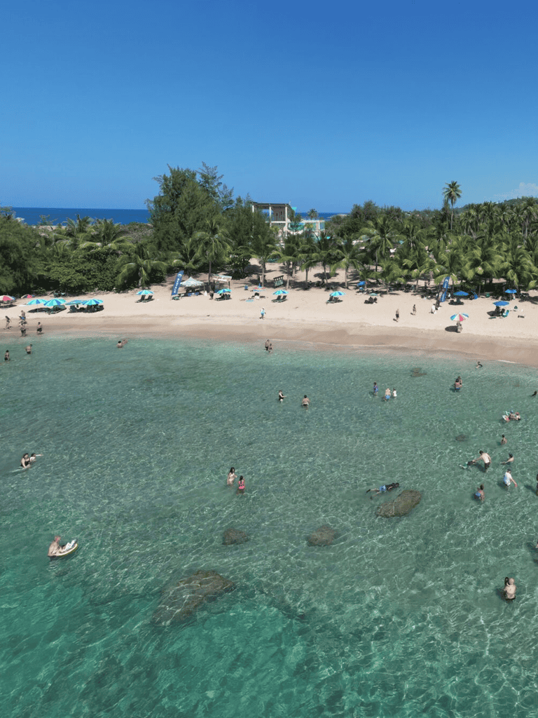 Relaxing tropical beach at Quest For Directions, with clear waters and palm trees for a perfect vacation escape.