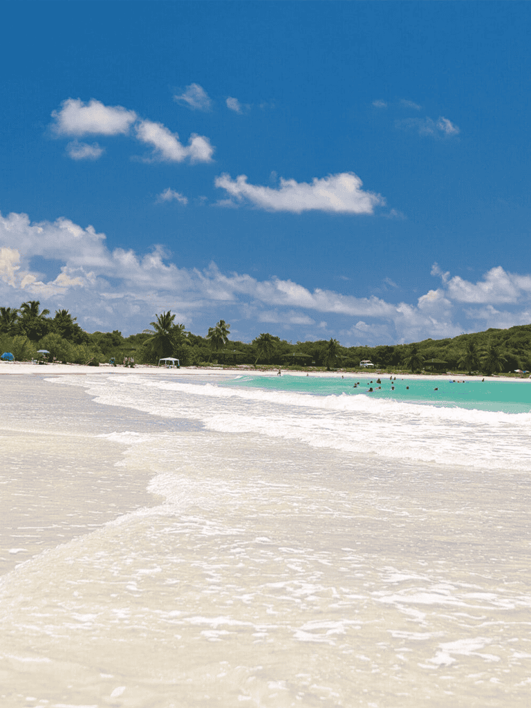 Pristine beach with turquoise water and green palm trees under a bright blue sky.