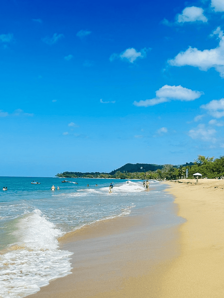 Relaxing beach with clear blue sky and ocean, perfect for tropical vacation and seaside getaway.