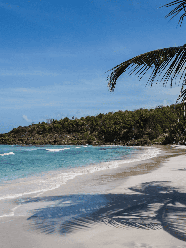 Pristine beach with turquoise waters and palm shadows, perfect for tropical travel and vacation relaxation.