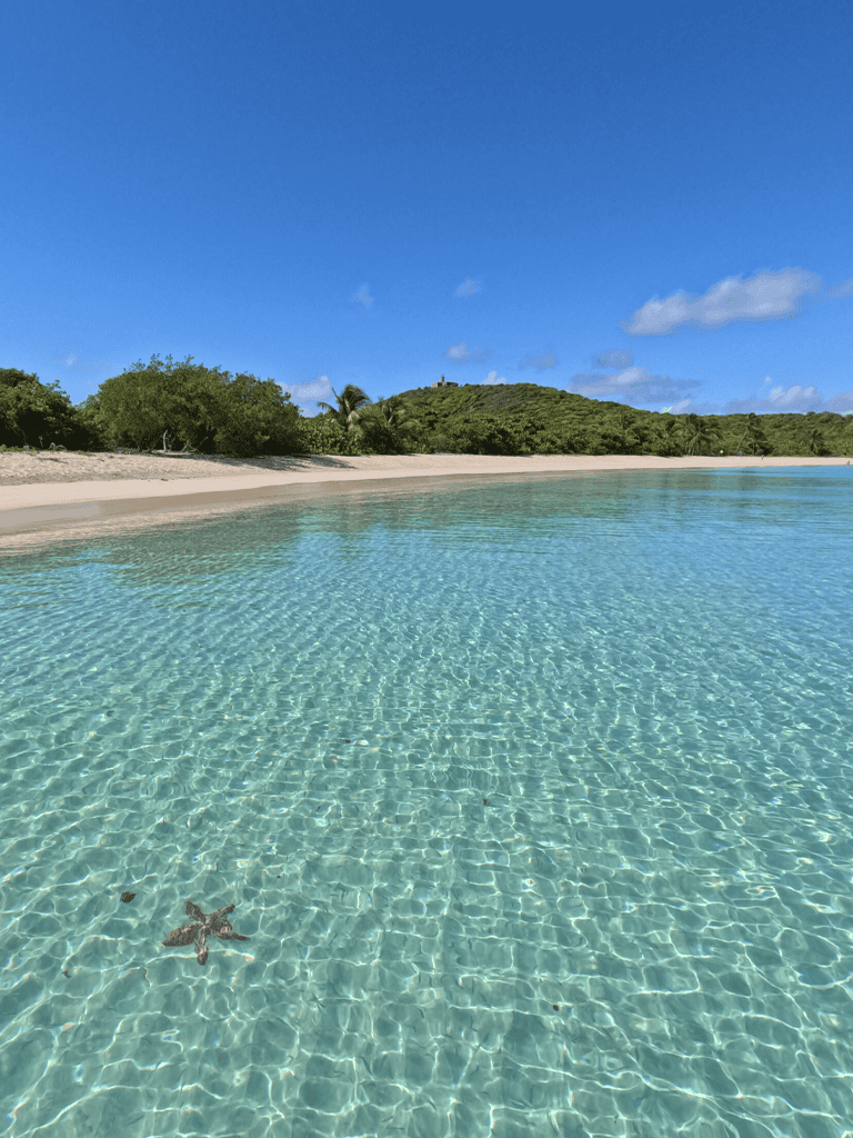 Bright tropical beach with clear blue water and lush green hills in the background.
