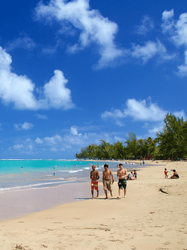 Relaxing beach scene with palm trees, blue sky, and tourists enjoying a sunny day by the sea.