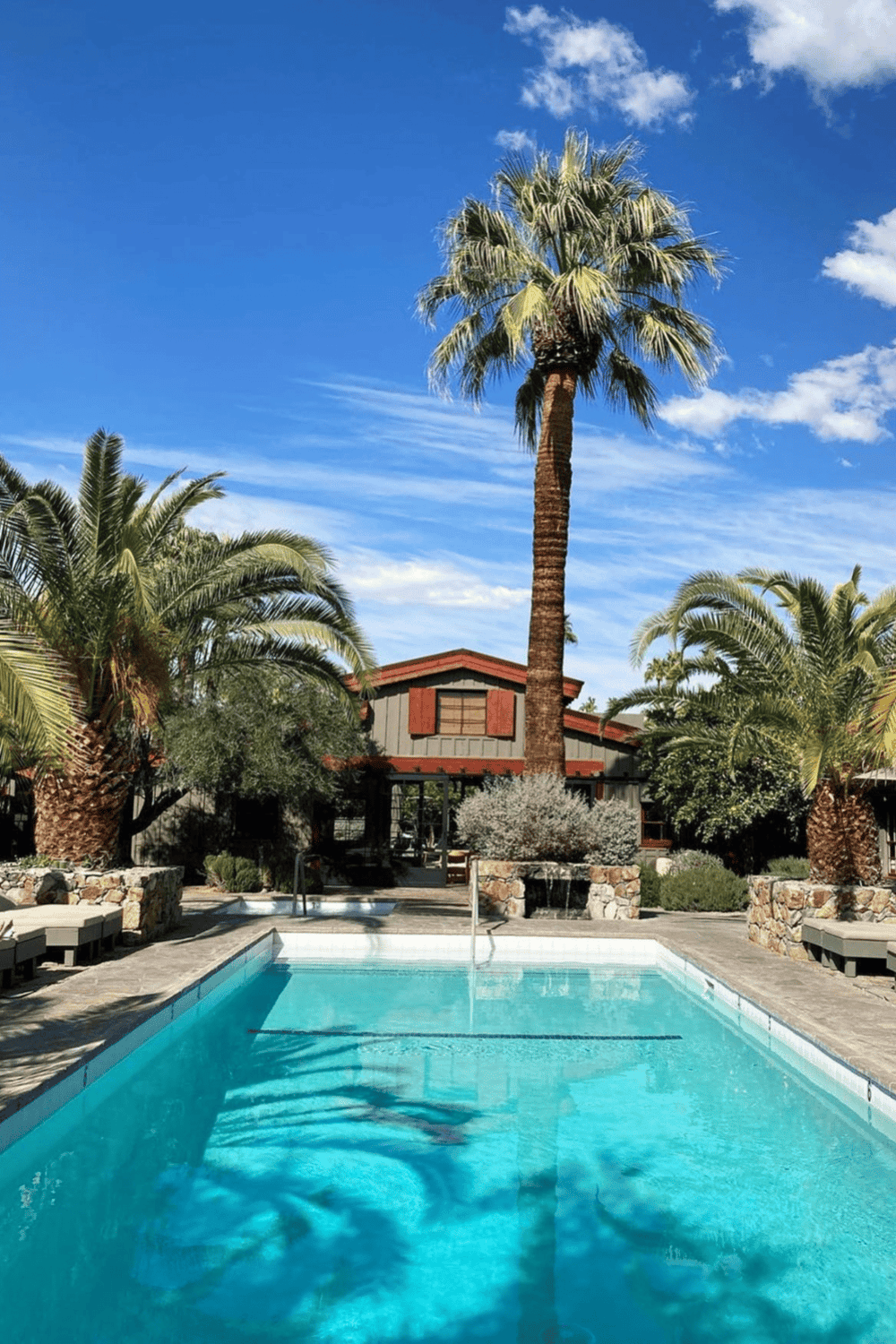 Aerial view of luxurious pool surrounded by palm trees in sunny outdoor setting.