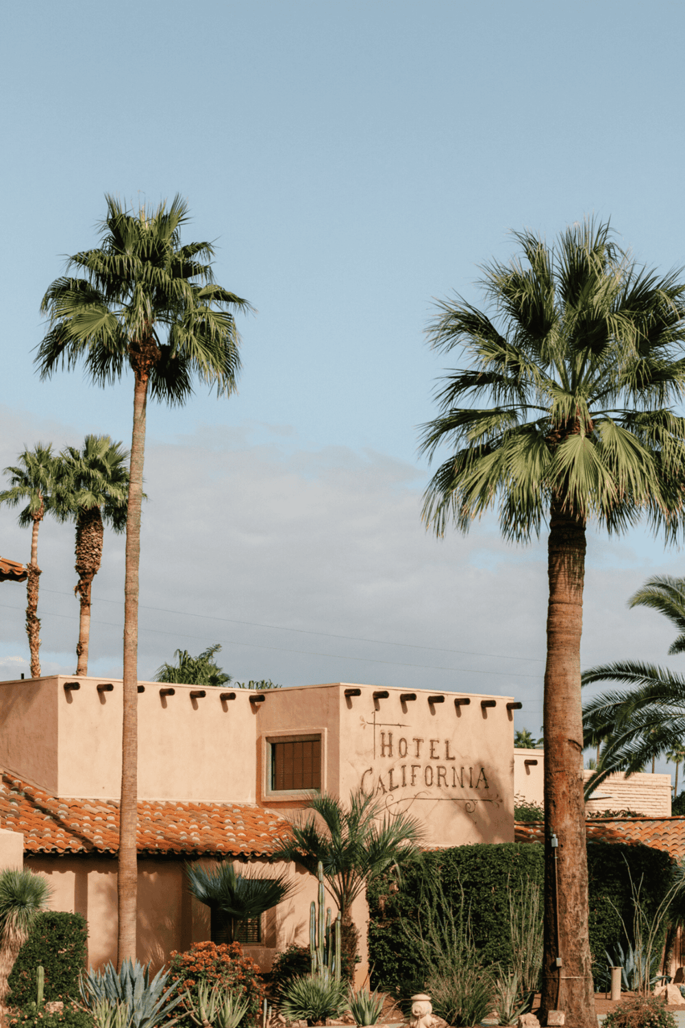 Palm trees at Hotel California in a sunny, desert-like setting, emphasizing travel and vacation destinations.