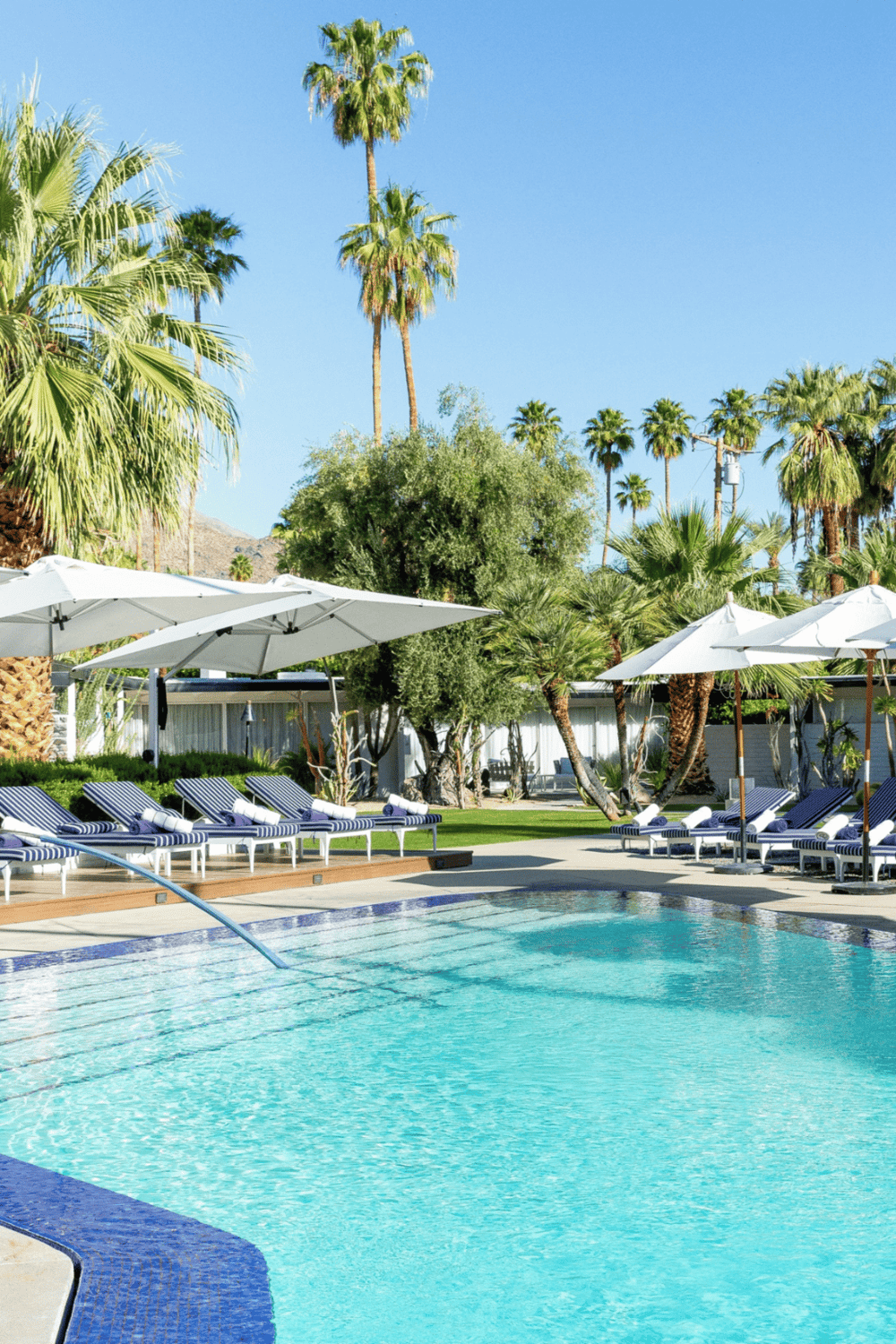 Relaxing outdoor pool area with palm trees and sun loungers in a tropical setting.