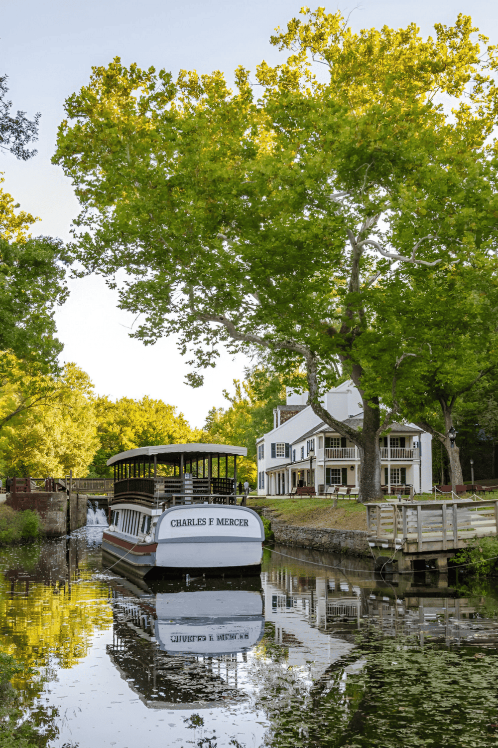 Relaxing boat tour at historic site in Charleston, South Carolina.