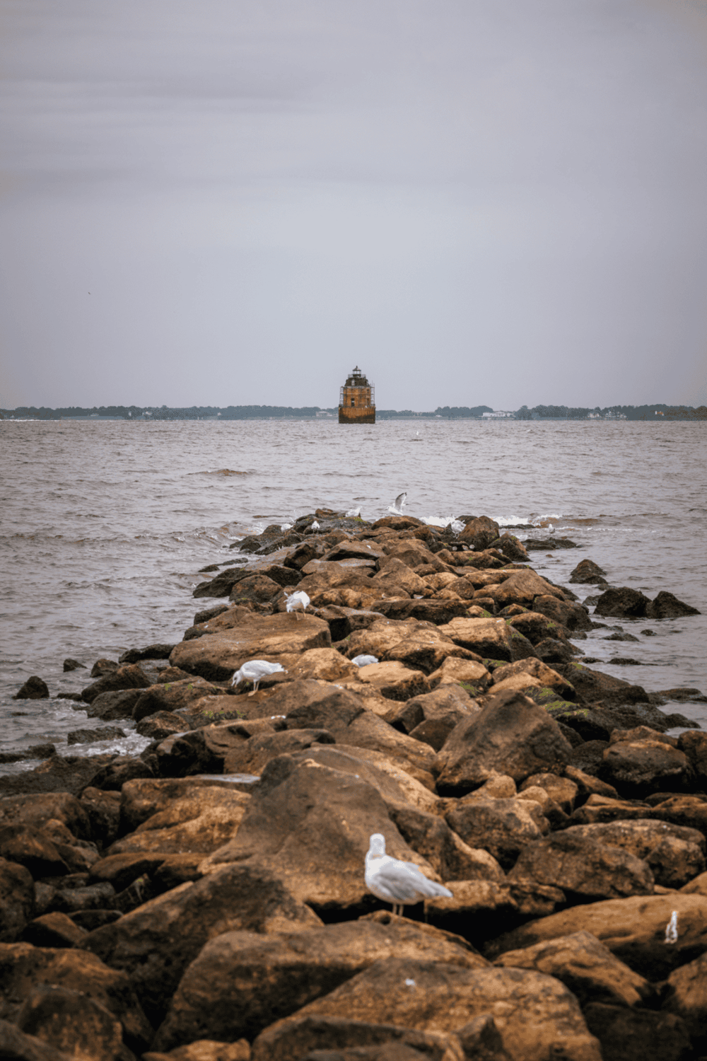 Seaside lighthouse viewed from rocky shoreline with seagulls in foreground, coastal navigation and waterway guidance.