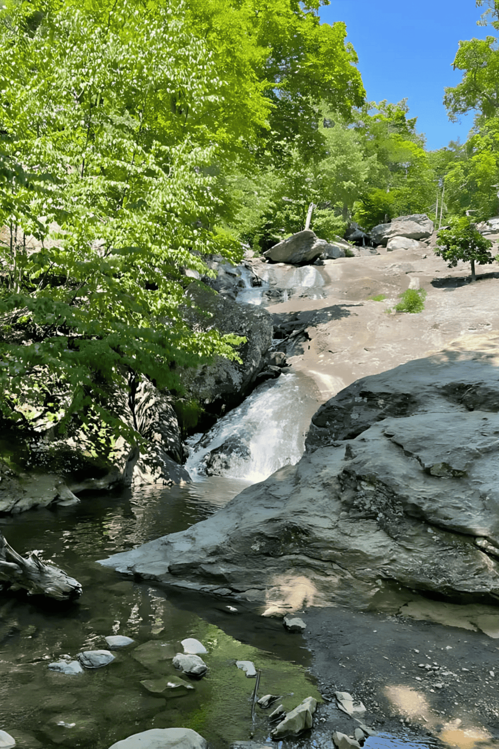 Tranquil creek with rocks and lush green trees in a scenic outdoor setting.