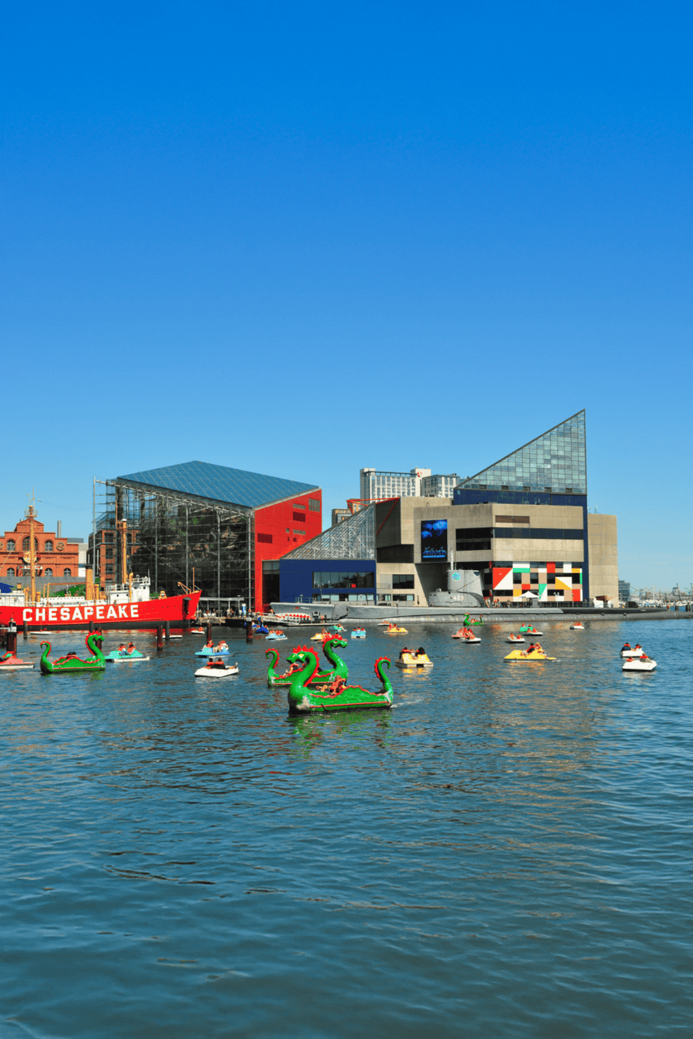 Colorful waterfront with dragon paddle boats and modern buildings in Baltimore Inner Harbor.