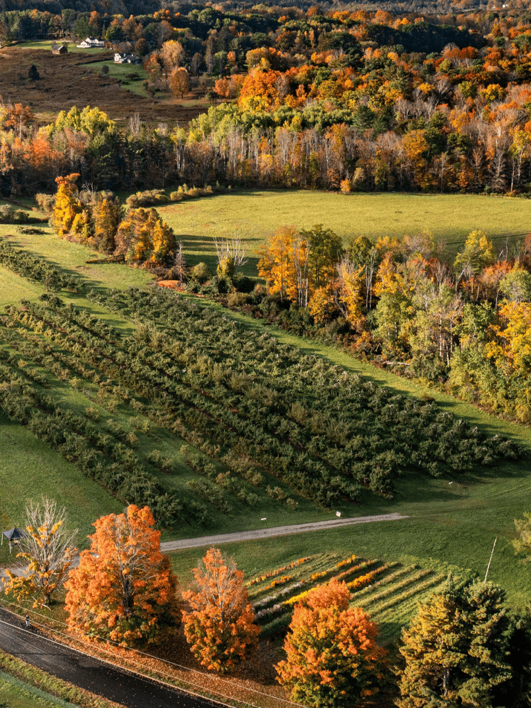 Colorful autumn landscape of farmland and forest in Vermont, vibrant fall foliage, scenic rural view.
