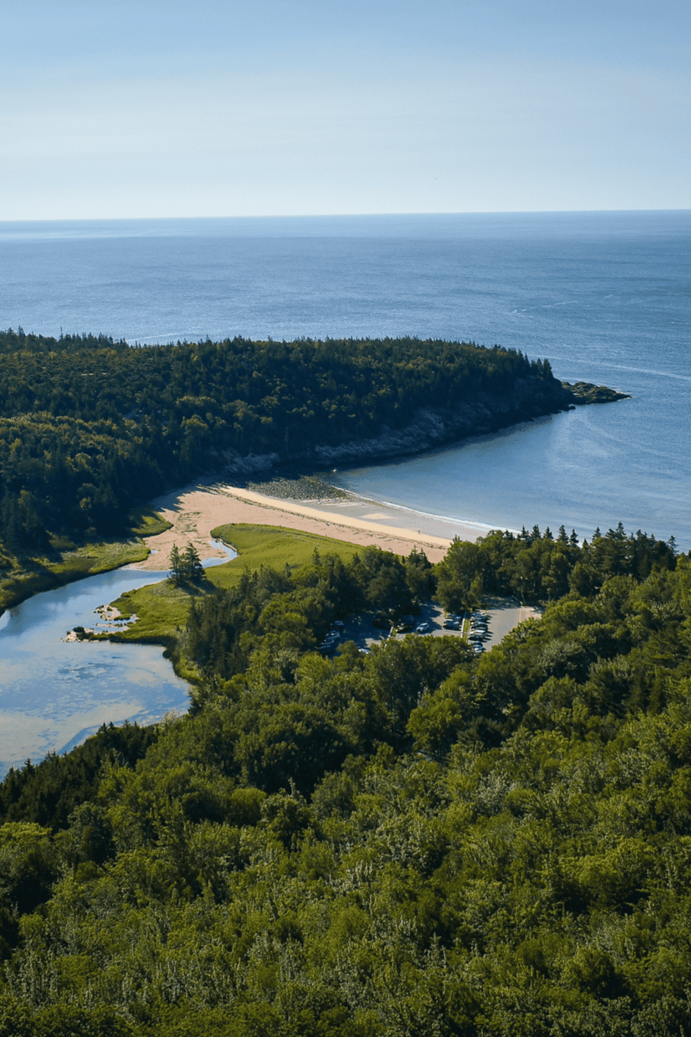 Seaside coastal view with lush green forest, sandy beach, and calm ocean waves.