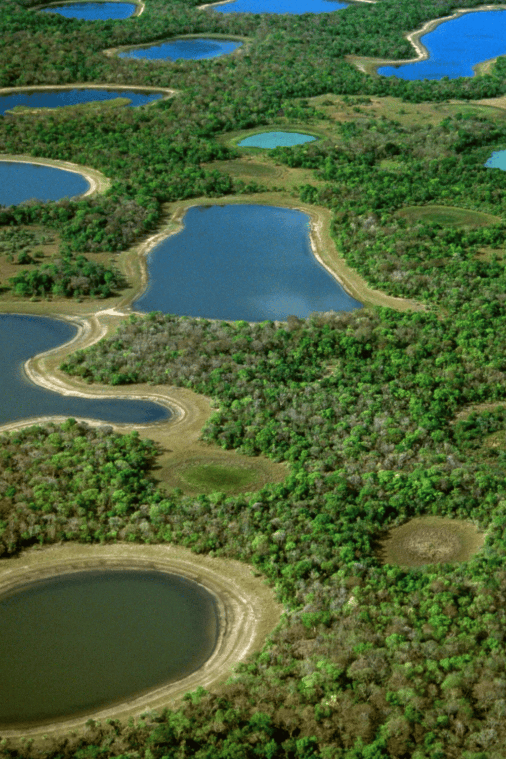 Lakes surrounded by lush green forest in a scenic natural landscape.