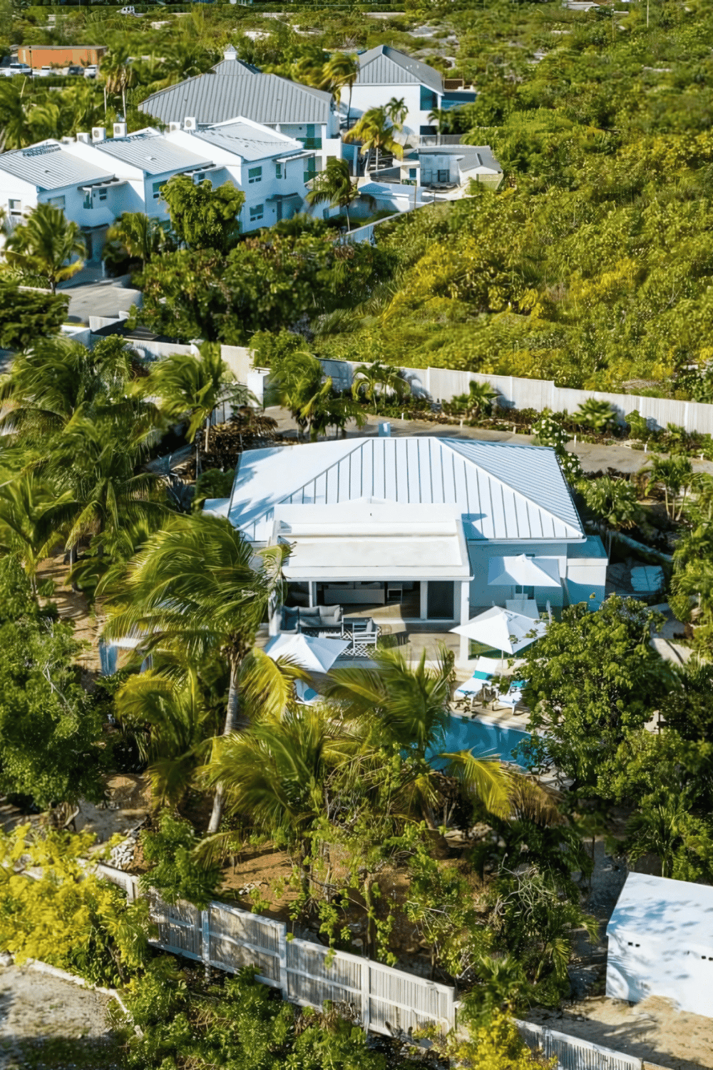 Modern tropical house with lush landscaping and pool, located in a scenic residential area.
